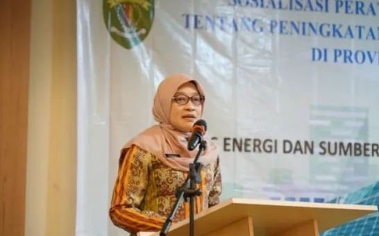 Sekda: Bentuk Wadah untuk Selesaikan Permasalahan Energi Baru di Kaltim sekretaris daerah provinsi kalimantan timur (kaltim) Sri Wahyuni