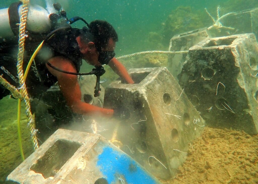 Perusahaan energi PT Pertamina Hulu Sanga Sanga (PHSS) terus berkomitmen dalam menjalankan program Corporate Social Responsibility (CSR).