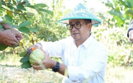 Pj Gubernur Ajak Petani Olah Hasil Panen, Produk Hortikultura Disukai Eropa Penjabat (Pj) Gubernur Kalimantan Timur (Kaltim) Akmal Malik mengatakan hilirisasi produk holtikultura dan pangan sangat disukai orang-orang Eropa.