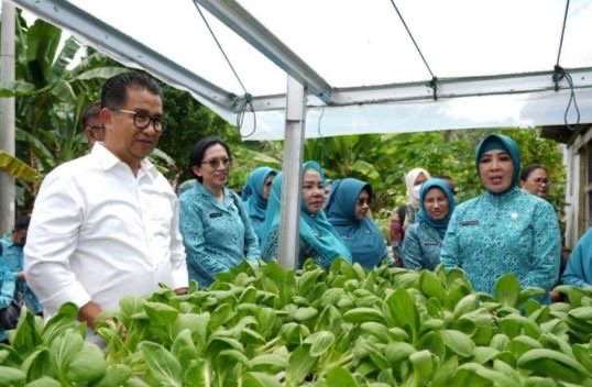 Jadikan Maratua Pariwisata Luar Biasa, Pj Gubernur Dorong Ibu-Ibu Menanam Sayur Penjabat (Pj) Gubernur Kalimantan Timur (Kaltim) Akmal Malik mengaku sudah menugaskan Kepala Dinas PMPD agar berkoordinasi dengan kepala desa/kampung di Maratua untuk memulai penanaman sayur di wilayahnya masing-masing.
