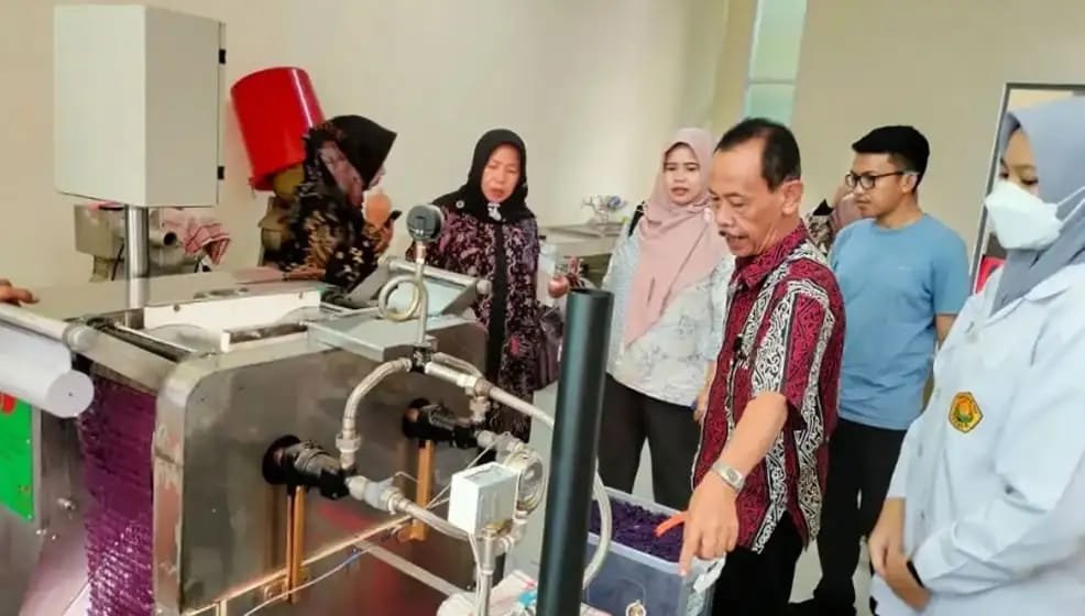 Teknologi Baru Buka Peluang Ekspor Tepung Ubi Jalar Ungu untuk UMKM