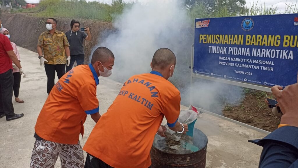 BNNP Kaltim Musnahkan Barang Bukti Ganja 4,1 Kilogram dari 2 Kasus via Ekspedisi