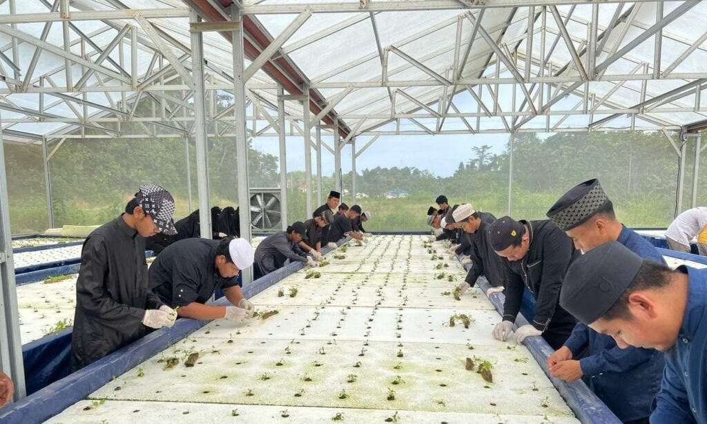 Akmal Malik Ajak Budaya Mandiri Pangan