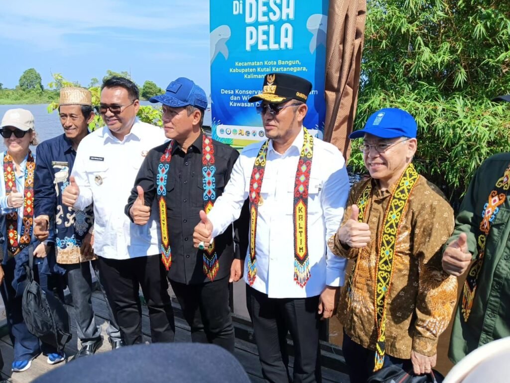 Populasi Pesut Mahakam Tersisa 62 Ekor, Menteri LH: Kita Belum Berhasil