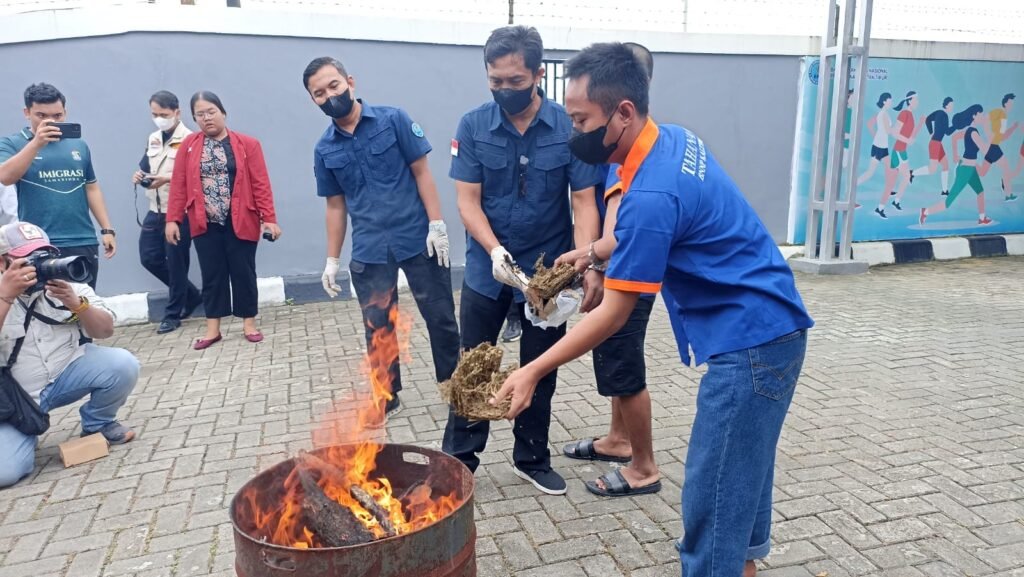 BNNP Kaltim Musnahkan 4,5 Kg Narkotika, Ungkap Jaringan Lintas Negara dan Peran Kurir Perempuan