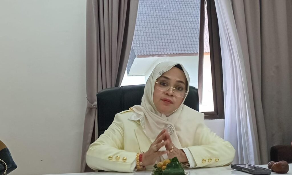 Syahariah Mas’ud Dorong Pembangunan Rumah Sakit Representatif di PPU