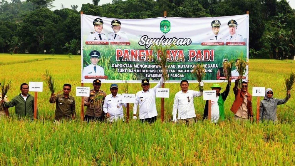 Panen Raya 100 Hektar, Kukar Teguhkan Posisi Lumbung Pangan Kaltim